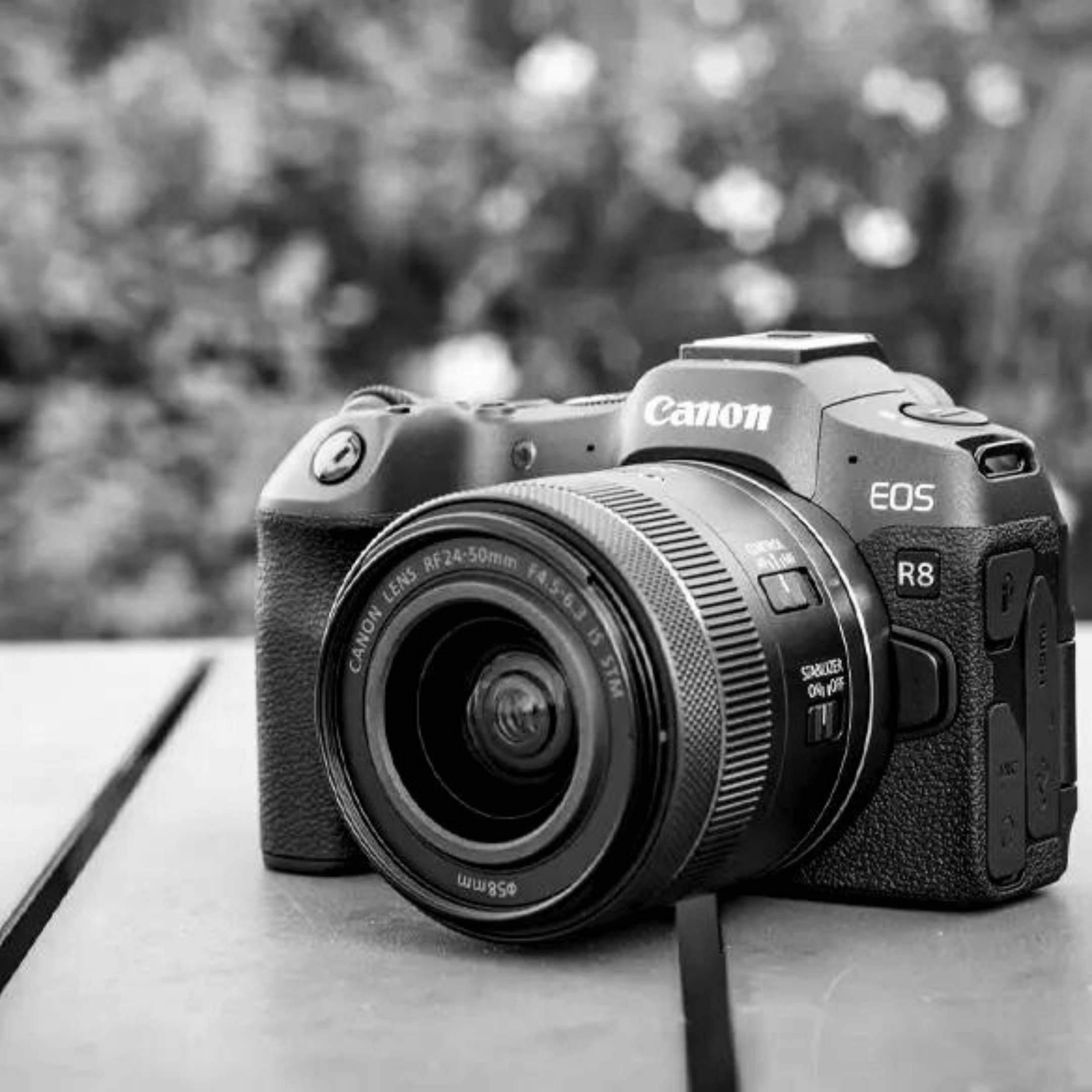 Cannon EOS R8 : A Leap in Image Quality and Versatility
